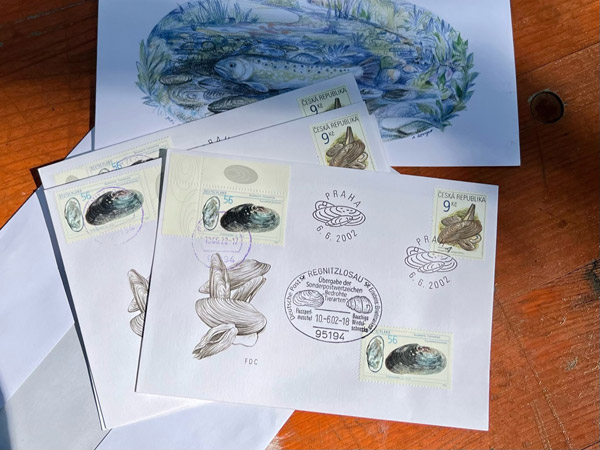 Brief und Briefmarke "Flussperlmuschel"